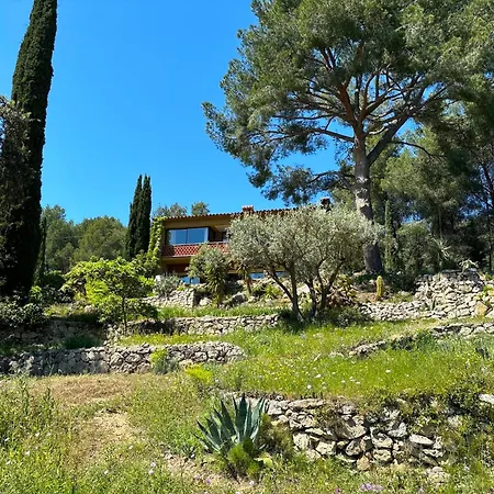 Micéa Sanary-sur-Mer