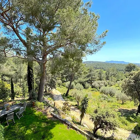 Villa Micea *