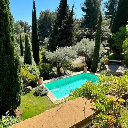 Micea Sanary-sur-Mer