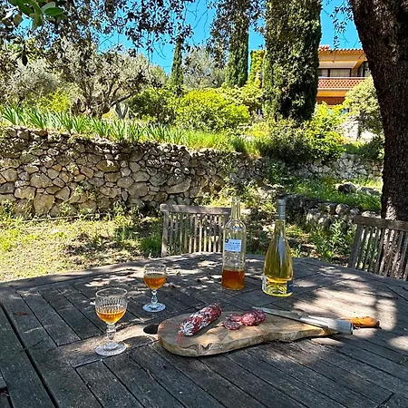 Micea Villa Sanary-sur-Mer